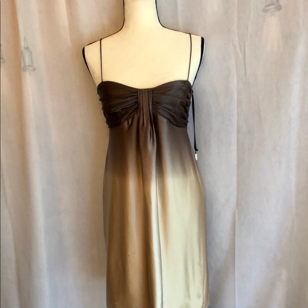NWT Calvin Klein ombré brown sleeveless dress